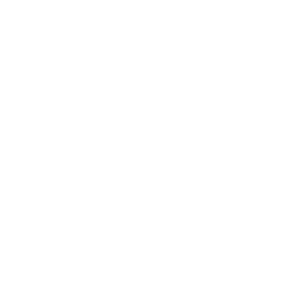 Hettich Jessica E-Commerce Consulting